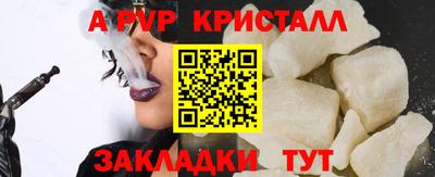 твердый Кингисепп