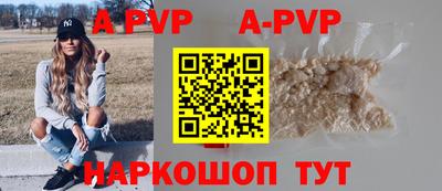 твердый Кингисепп