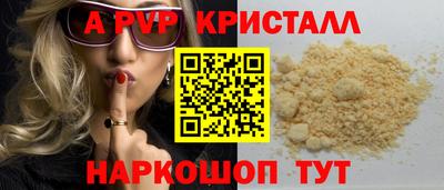 твердый Кингисепп