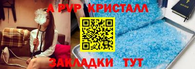 твердый Кингисепп