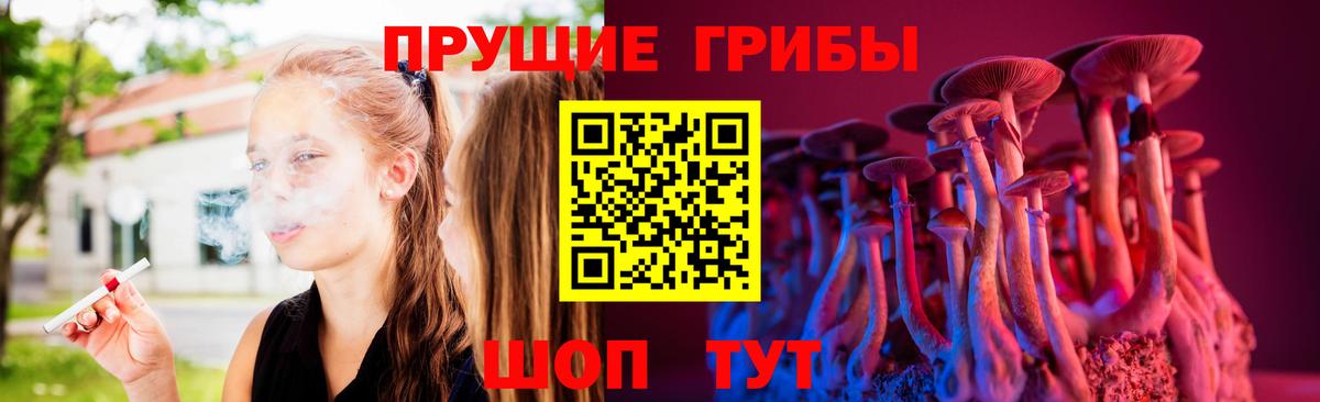 Псилоцибиновые грибы Cubensis  закладки  Вход с VPN  Новошахтинск  Псилоцибиновые грибы Cubensis 